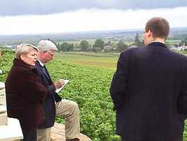 In the vineyards of Le Corton.jpg